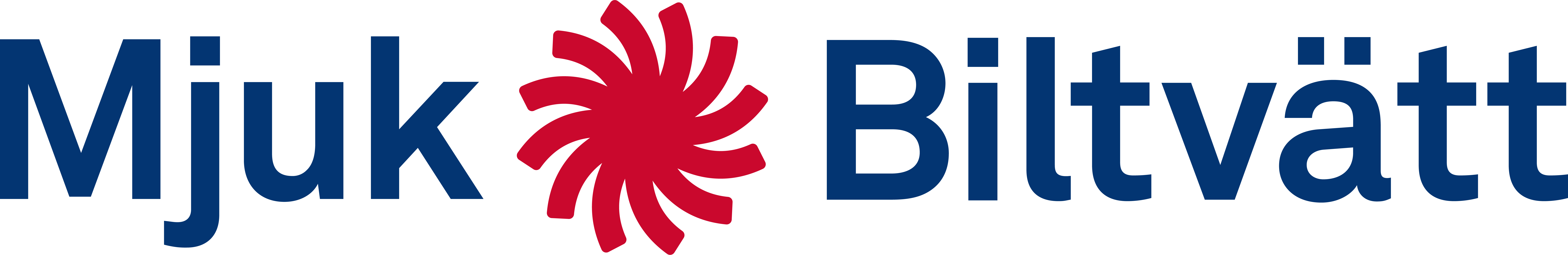 Mjuk Biltvätt Logo Logotyp